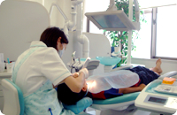 ���q�l�̎��Î�