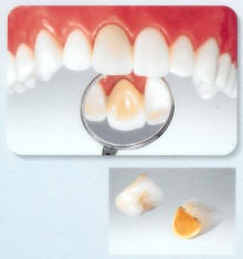 �d�����^���{���h