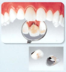 ���^���{���h